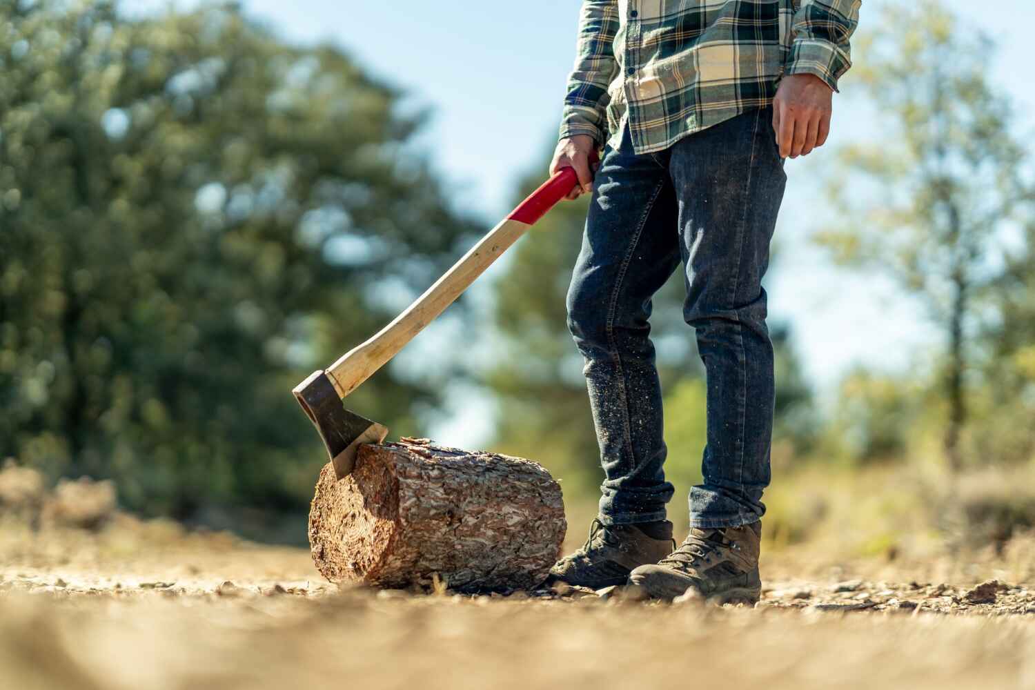 Tree Root Removal in Metlakatla, AK